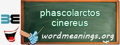 WordMeaning blackboard for phascolarctos cinereus
